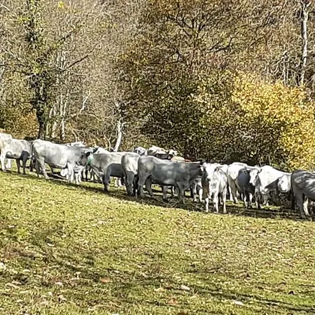 Grange Ancienne Amenagee Vakantiehuis