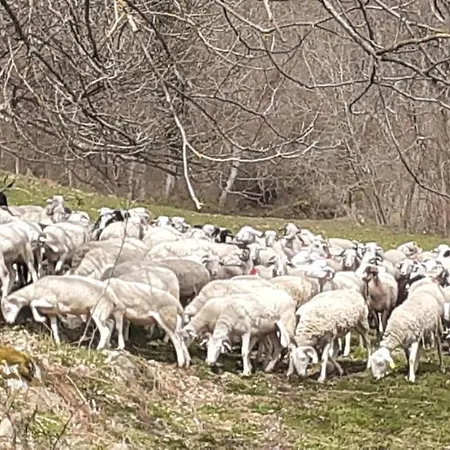 Vakantiehuis Grange Ancienne Amenagee *