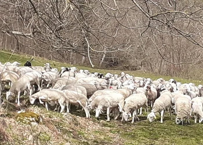 別荘 Grange Ancienne Amenagee *